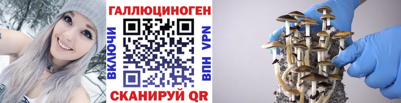 ссылка на мегу ССЫЛКА  Новосибирск  Галлюциногенные грибы GOLDEN TEACHER  наркота 